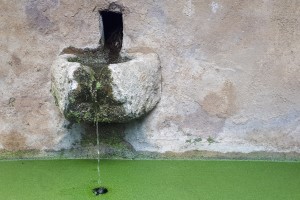 Ist die Trinkwasserinitiative radikal? – Nein, sie ist ein moderater erster Schritt zu einer umweltverträglichen Landwirtschaft