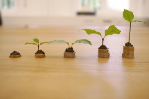 Diskussionspapier «Kostenwahrheit in Landwirtschaft und Ernährung»