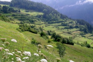 Exploiter le potentiel des régions de montagne de manière cohérente grâce à l’initiative pour une eau potable propre