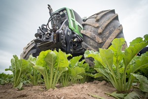 Série développement durable: le sucre suisse a-t-il un avenir?