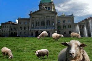 Politique agricole 22+: le Conseil fédéral montre des signes d’ouverture quant à l'amélioration des déficits environnementaux