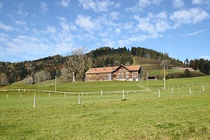 Wann kommt die Agrarpolitik mit positiver Perspektive?