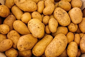 Chlorprophame: le poison dans les pommes de terre