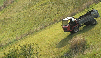 Berglandwirtschaft