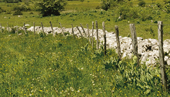 Prestations écologiques requises et prescriptions légales